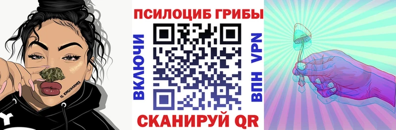 где продают   Феодосия  Галлюциногенные грибы прущие грибы 
